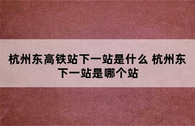 杭州东高铁站下一站是什么 杭州东下一站是哪个站